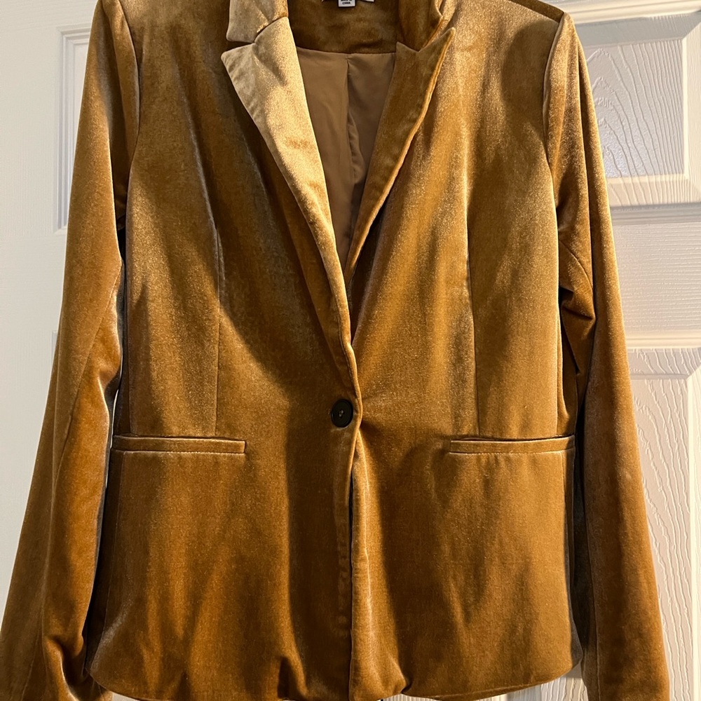 Molly Bracken Brown Velvet Single-Button Blazer